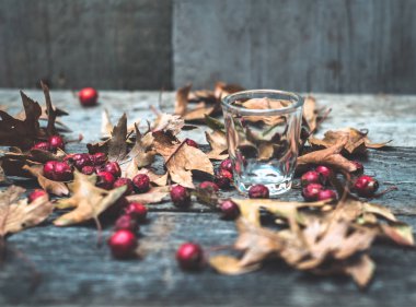 tentür için boş şeffaf cam