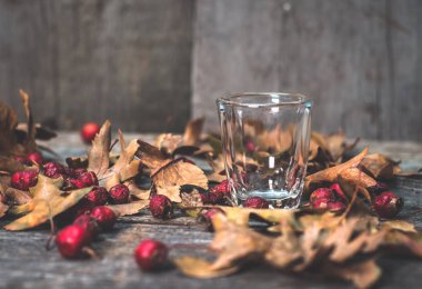 tentür için boş şeffaf cam