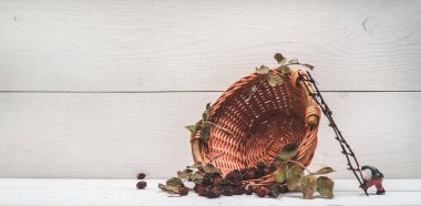 sepet yaban gülü beyaz tahtalar üzerinde 