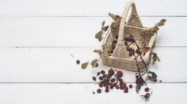 Sepet ve kurutulmuş yaban gülü 