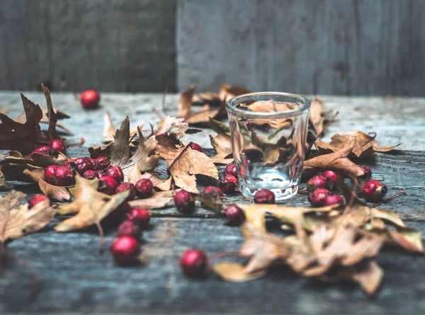 tentür için boş şeffaf cam