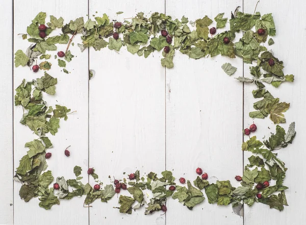 sonbaharın çerçevenin üstten görünüm bırakır 