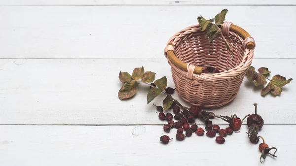 Panier avec des roses sauvages séchées — Photo