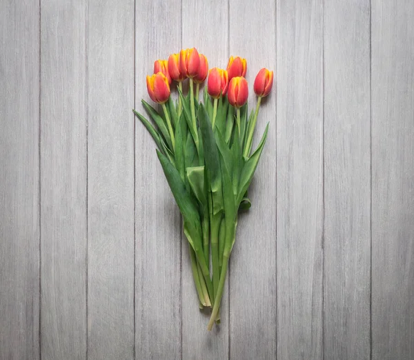 top view of the layout of tulips