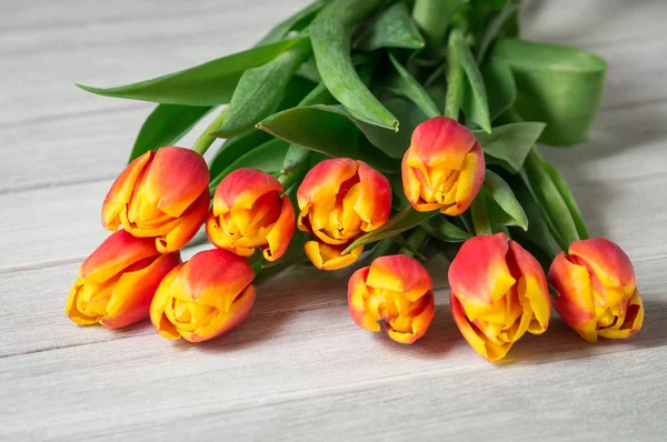 Top view of the layout of tulips — Stock Photo, Image