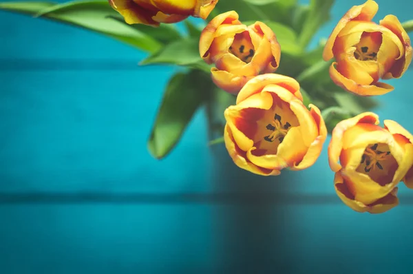 Lale arka plan Üstten Görünüm