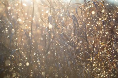 arkaplanını gökkuşağı parlama