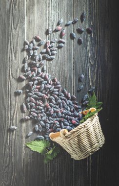 Hanımeli karanlık kurullarında taze çilek devrilmiş sepeti