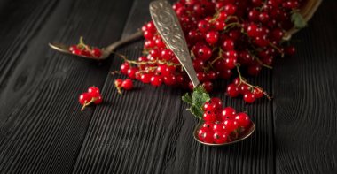 Frenk üzümü berry siyah ahşap plakalar