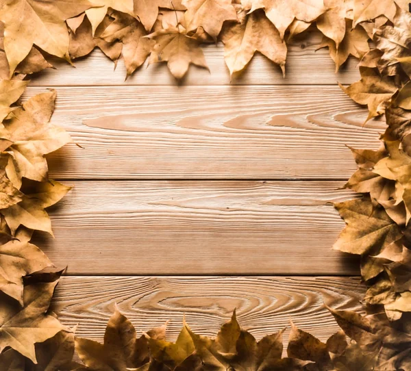 çerçeve ahşap kurullarında sonbahar yaprak