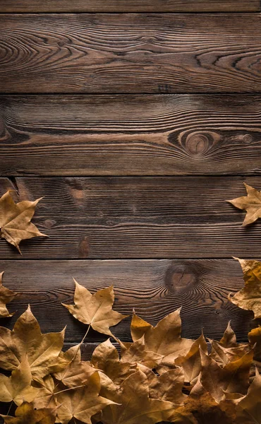 çerçeve ahşap kurullarında sonbahar yaprak