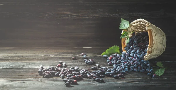 Hanımeli karanlık kurullarında taze çilek devrilmiş sepeti