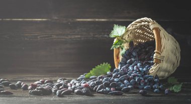 Hanımeli karanlık kurullarında taze çilek devrilmiş sepeti