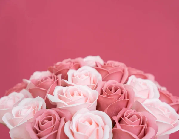 Buds de rosas rosa e branca em um fundo rosa . — Fotografia de Stock