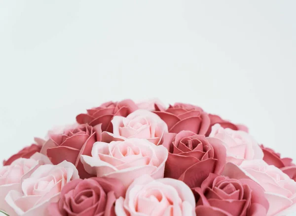 Brotes de rosas rosadas y blancas sobre un fondo blanco . —  Fotos de Stock