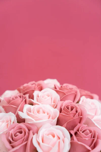 Brotes de rosas rosadas y blancas sobre un fondo rosado . —  Fotos de Stock