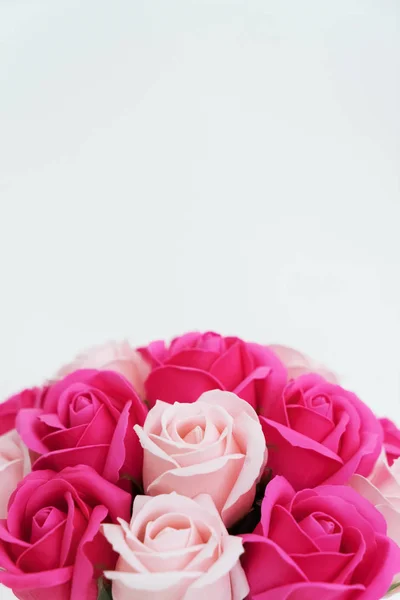 Brotes de rosas rosadas y blancas sobre un fondo blanco . —  Fotos de Stock