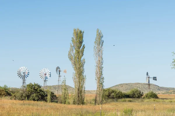 Four water pumping windmills — Stock Photo, Image