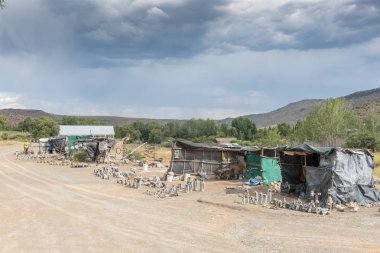 Bilseme-e Nieu-Betesda baykuş evinde tezgahları