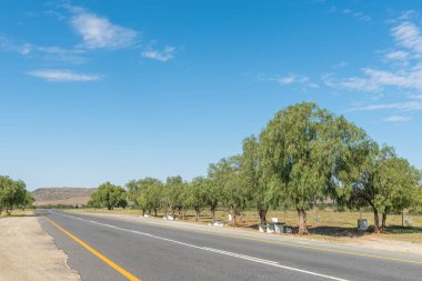 Graaff-Reinet gölgeli piknik nokta yolun yanındaki oteller