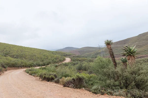 Paisaje en la carretera Oude Muragie — Foto de Stock