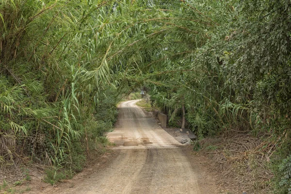 Causeway na estrada entre o Kruisrivier e Calitzdorp — Fotografia de Stock