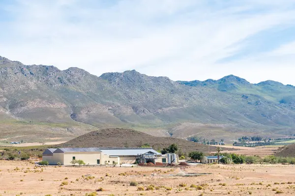 Cave à vin entre Barrydale et Montagu — Photo