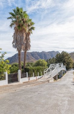 Palmiye ağacı ve Montagu yaya köprüsü
