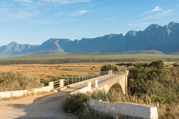 Riviersonderend köprüden erken sabah — Stok fotoğraf