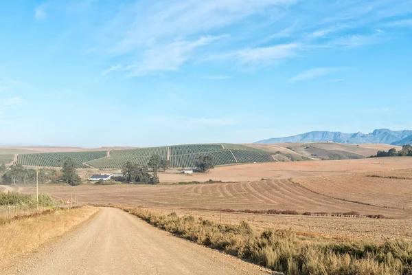 农场的 Riviersonderend 镇和灰色之间的道路上的风景 — 图库照片