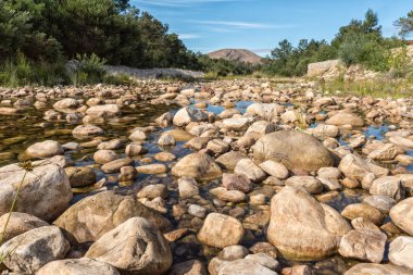Görünüm Gobos nehir yatağı Greyton