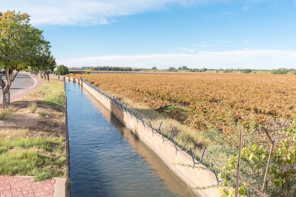 Irrigation canal and vineyard in autumn colors in Keimoes — Stock Photo, Image