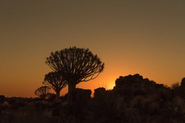 Siluetleri, titreme ağaç ve kayaların Garas, gün batımında