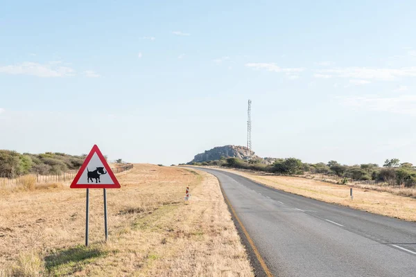 Señal de advertencia de Warthog en la carretera B1 cerca de Otjiwarongo — Foto de Stock