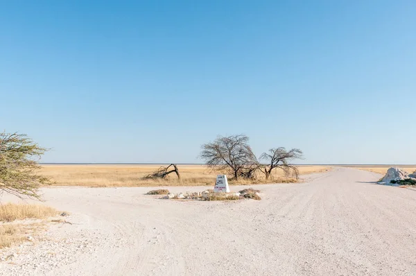 Weg van de typische scène in het Etosha National Park Namibië — Stockfoto