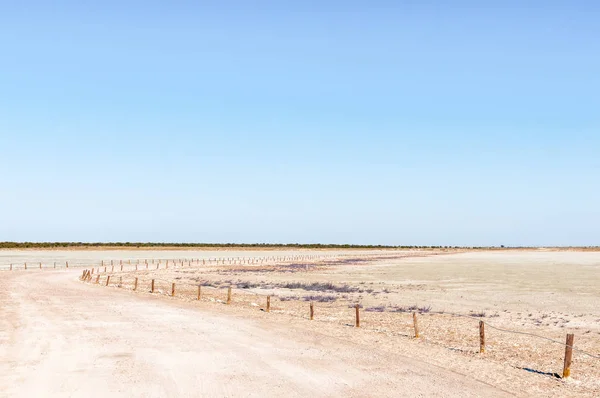 Widok z punktu widokowego na Etosha Pan — Zdjęcie stockowe