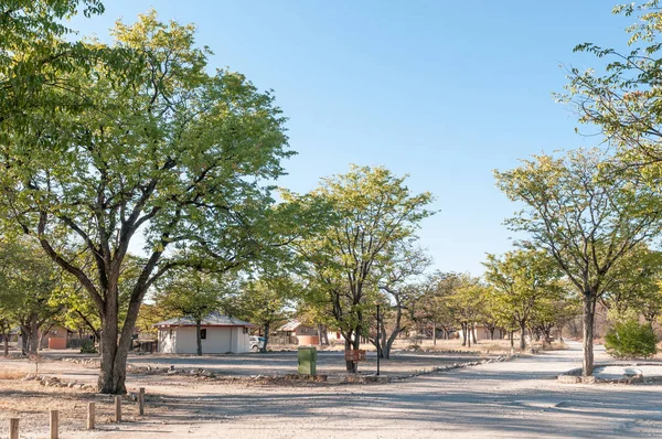 Chalets en el campamento de descanso Halali — Foto de Stock