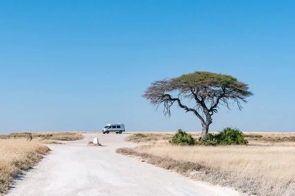 Ağaç ve araç Charitsaub su birikintisinin bakış yönü
