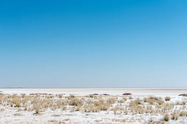 Etosha pan, a large endorheic salt pan in Northern Namibia — Stock Photo, Image