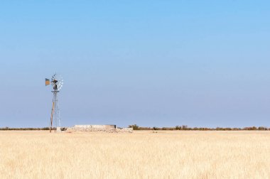 Çimen yatay, yel değirmeni ve baraj Kuzey Namibya