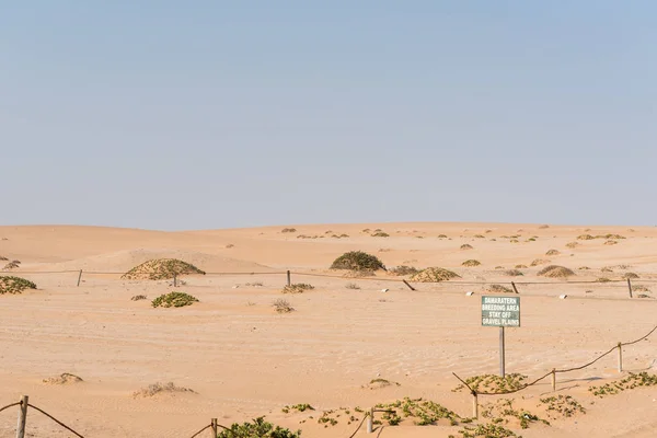 Zona di riproduzione della Damara Tern nel deserto del Namib — Foto Stock