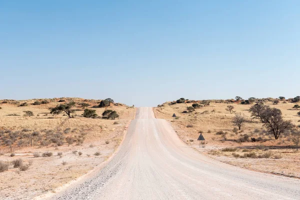 Дорога C17 на юге Калахари в Намибии пересекает заросший песком песок — стоковое фото