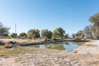 Campbell yüzme havuzunda