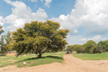 Koranna Mountain Excelsior'un yakınlarında traktör ile çiftlik sahne