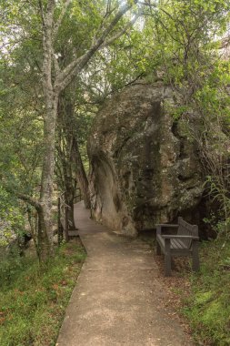 Hiking trail Cascades için bankta