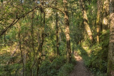 Orman Tugela Gorge hiking izinde