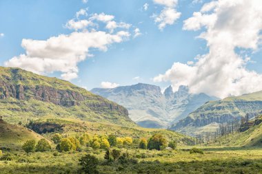 Kamp Injisuthi, önünde ağaçlar arasında bir sitedir