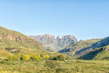 Injisuthi kampı Maloti Drakensberg Parkı içinde ağaçlar arasında