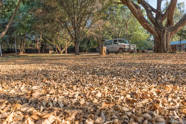 Camping auf dem laske nakke caravanpark in lydenburg — Stockfoto