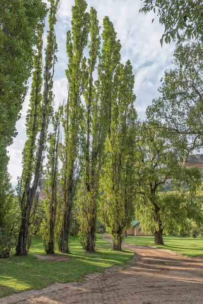 Golden Gate Highlands National Park Südafrika März 2020 Blick Auf — Stockfoto